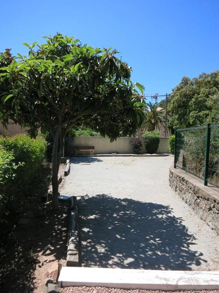 Studio Front de Mer Saint-Raphaël Esterno foto